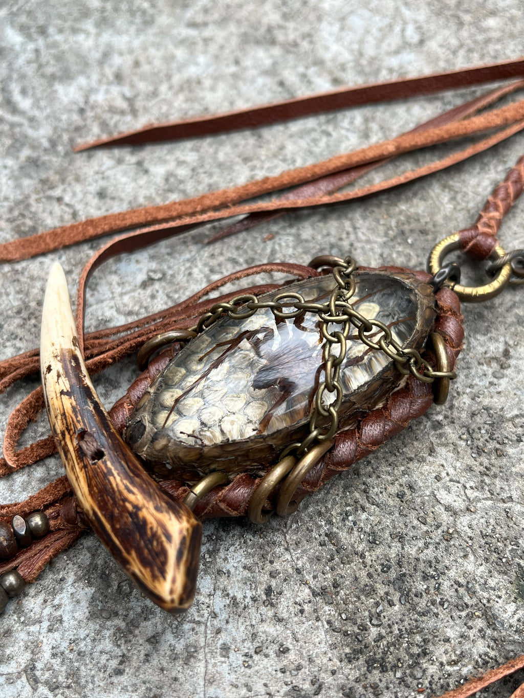 Spider Tusk Necklace