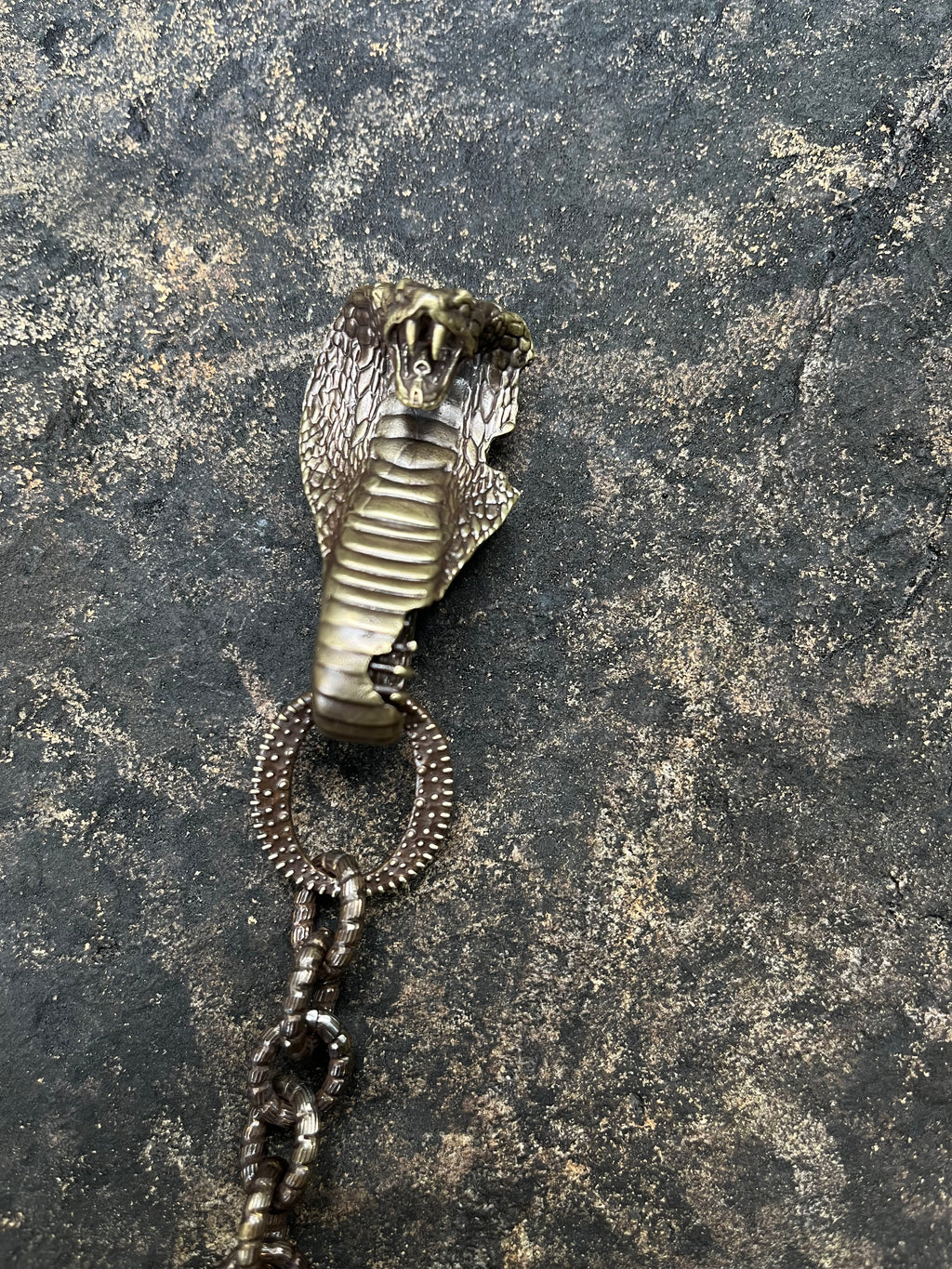 Snake Trace Wallet Chain #01