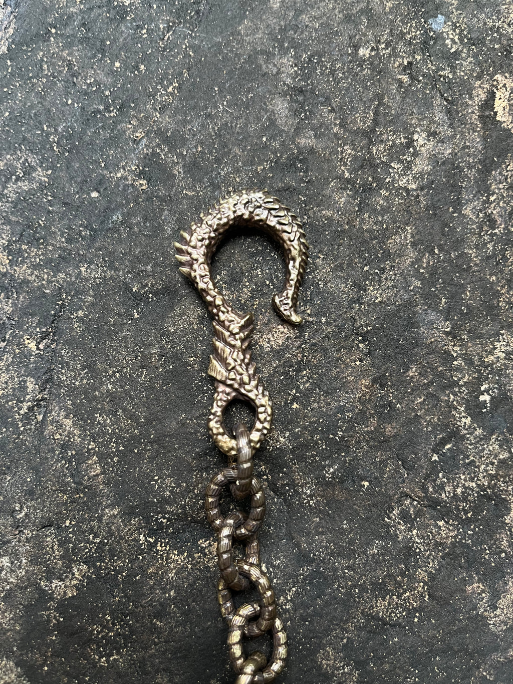 Snake Trace Wallet Chain #01