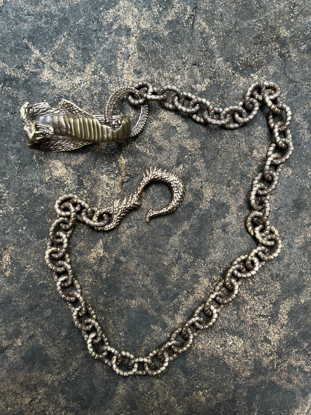 Snake Trace Wallet Chain #01