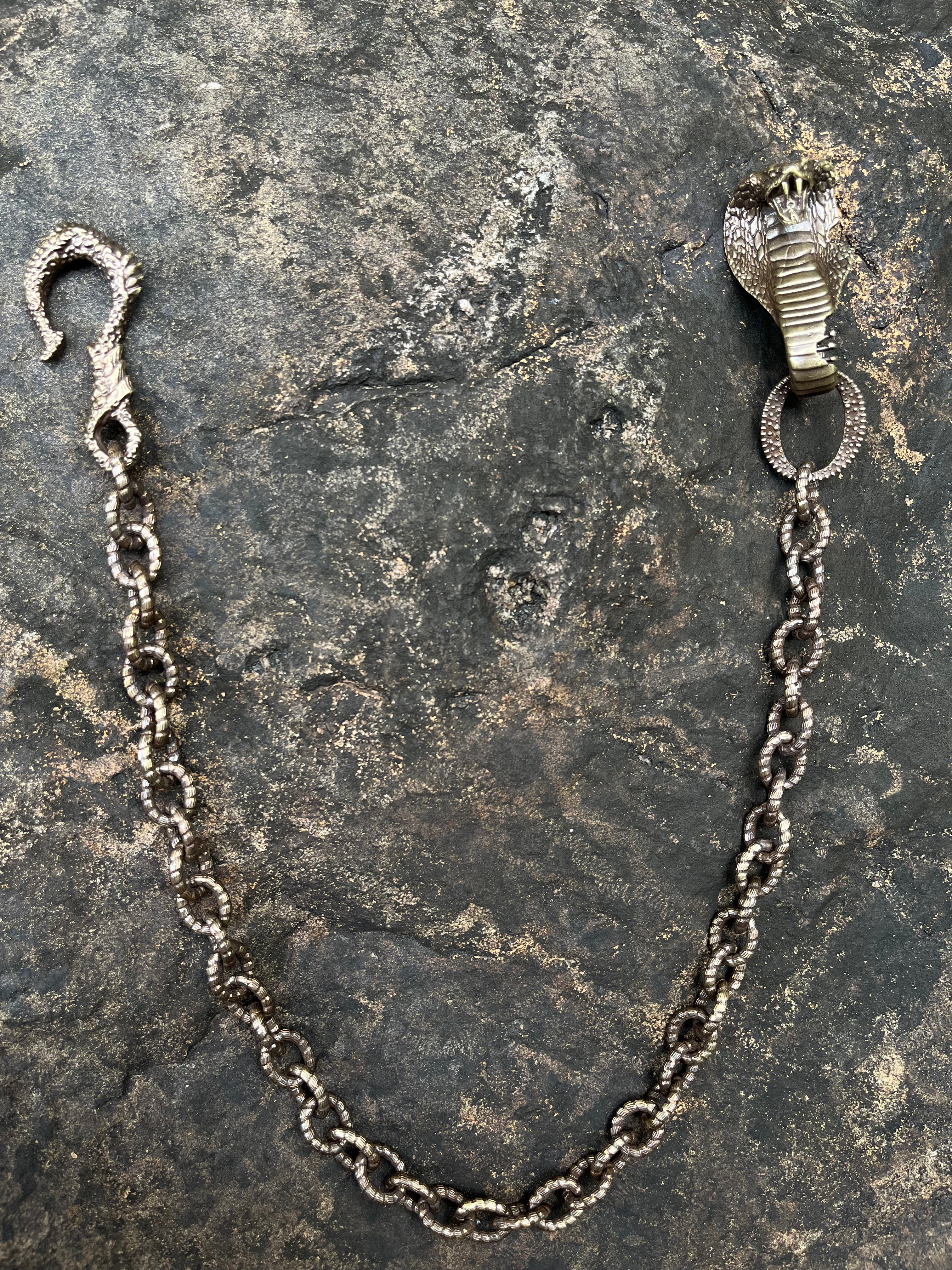 Snake Trace Wallet Chain #01