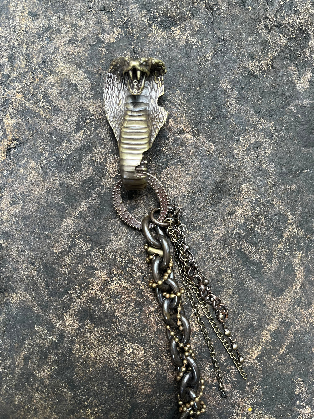 Snake Trace Wallet Chain #02